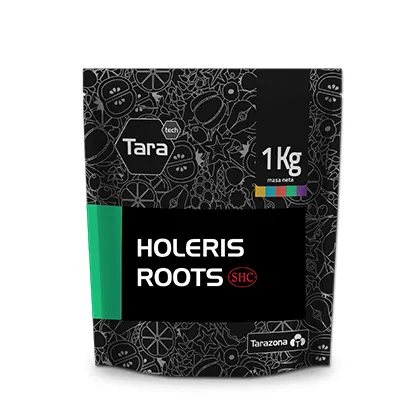 Imagen oficial de HOLERIS ROOTS