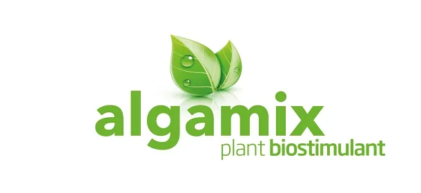 Imagen oficial de algamix