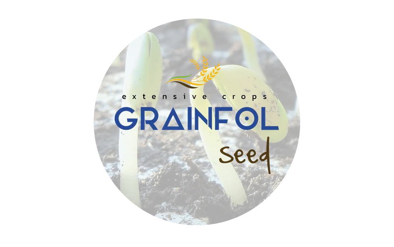 Imagen oficial de Grainfol Seed