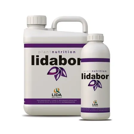 Imagen oficial de lidabor