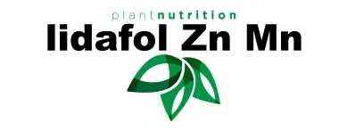 Imagen oficial de lidafol zinc manganeso