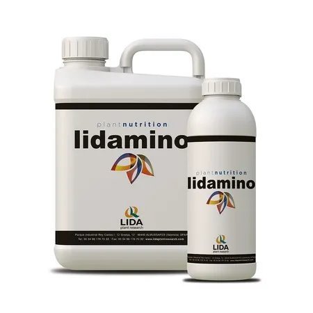 Imagen oficial de lidamino