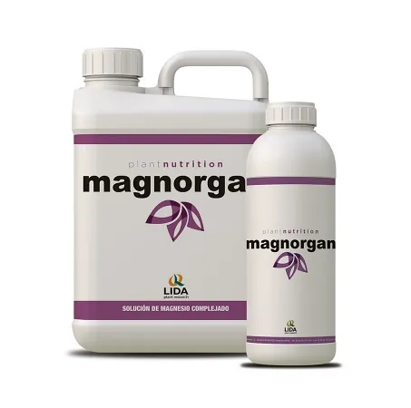 Imagen oficial de magnorgan