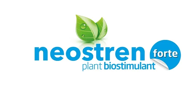 Imagen oficial de neostren forte