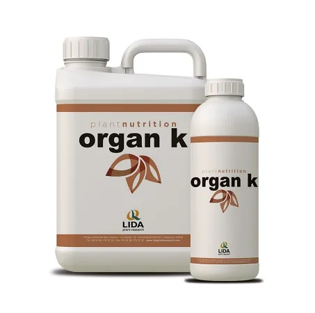 Imagen oficial de organ k