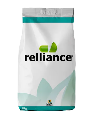 Imagen oficial de relliance