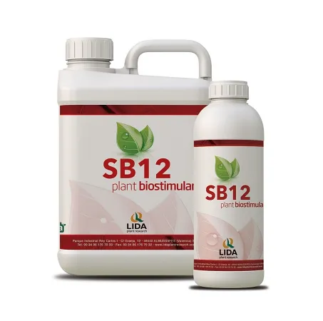 Imagen oficial de SB12