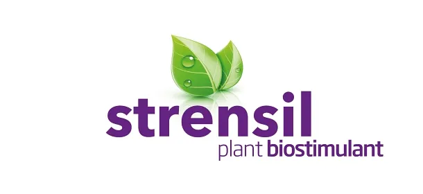 Imagen oficial de strensil
