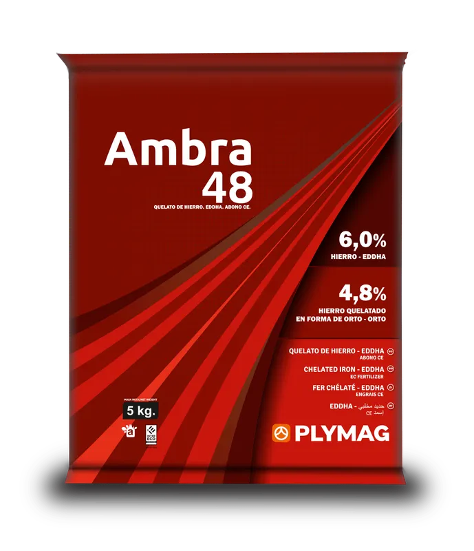 Imagen oficial de Ambra 48 SP