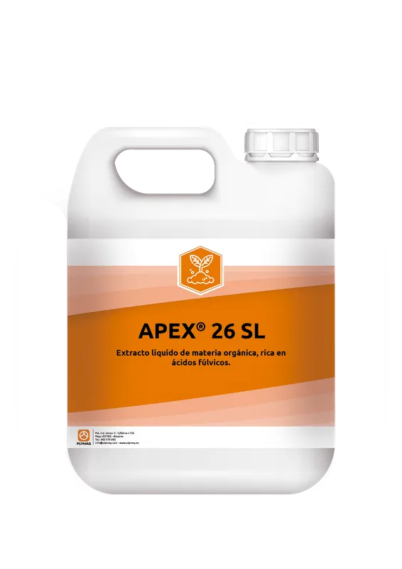 Imagen oficial de APEX 26 SL