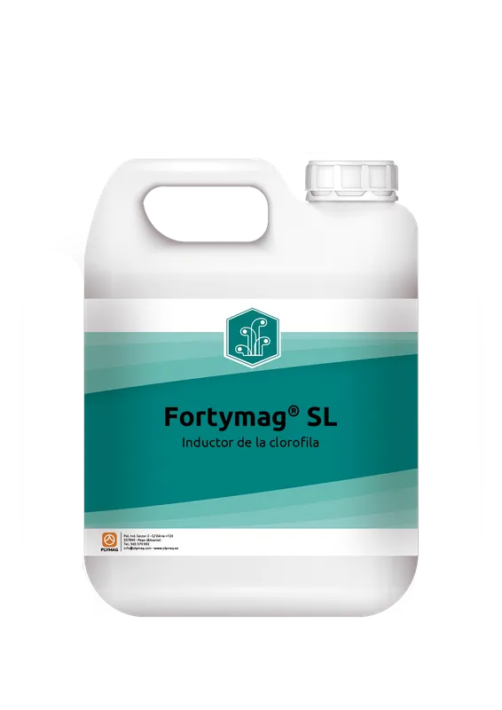 Imagen oficial de Fortymag
