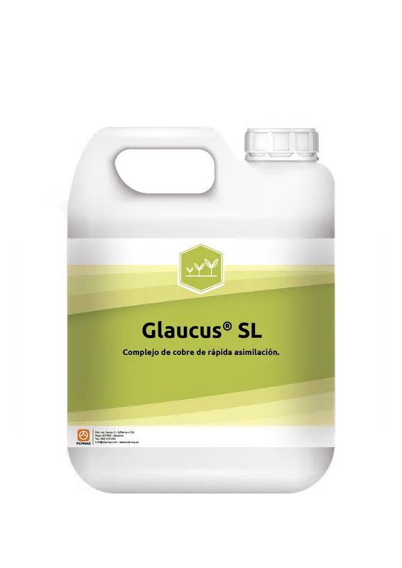 Imagen oficial de Glaucus SL