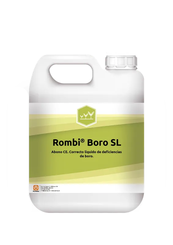Imagen oficial de Rombi Boro SL