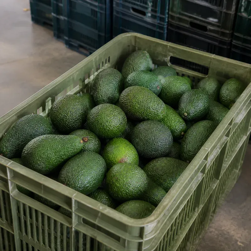 Representación editorial de frutos intactos durante su almacenamiento