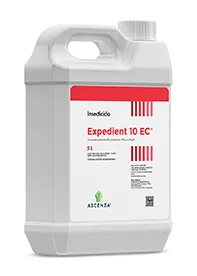 Imagen oficial de EXPEDIENT 10 EC