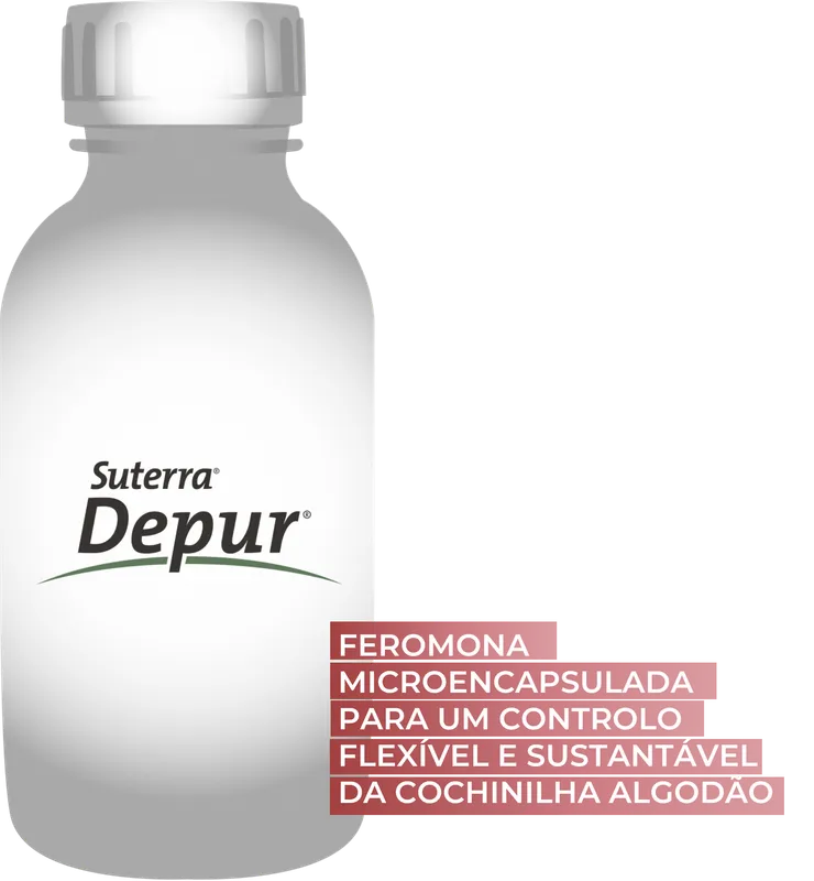 Imagen oficial de DEPUR