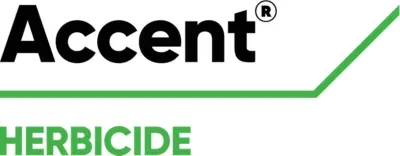 Imagen oficial de ACCENT 75 WG