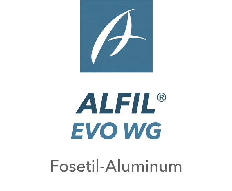 Imagen oficial de ALFIL EVO WG