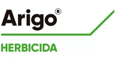 Imagen oficial de ARIGO