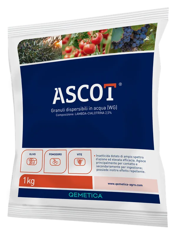 Imagen oficial de ASCOT