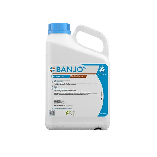 Imagen oficial de BANJO