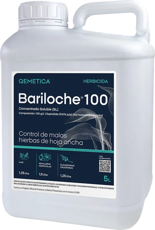 Imagen oficial de BARILOCHE 100