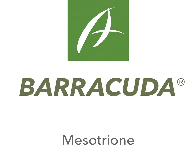 Imagen oficial de BARRACUDA