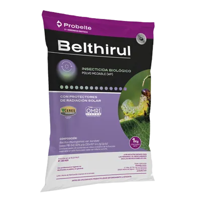Imagen oficial de BELTHIRUL