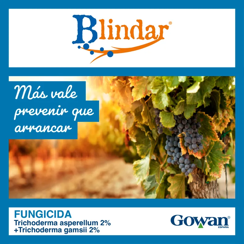 Imagen oficial de BLINDAR