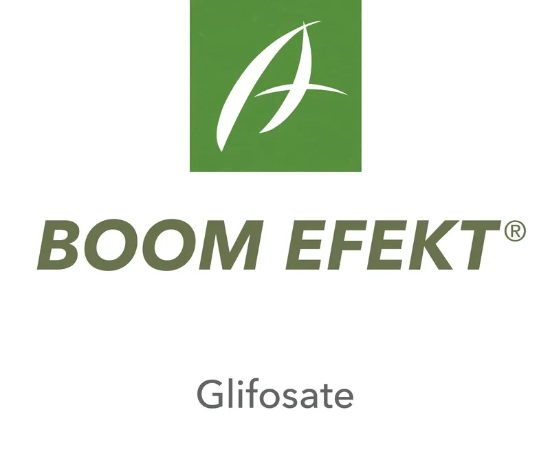 Imagen oficial de BOOM EFEKT