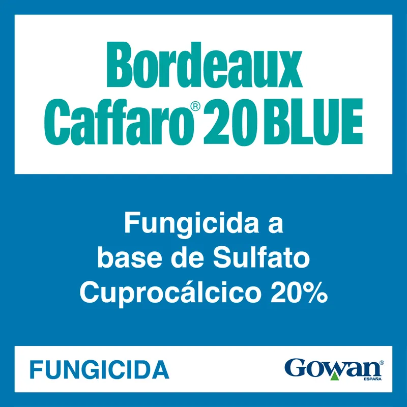 Imagen oficial de BORDEAUX CAFFARO 20 BLUE