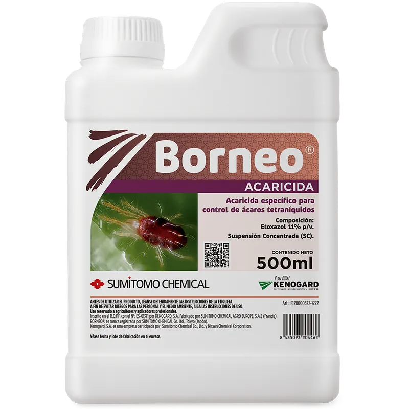 Imagen oficial de BORNEO