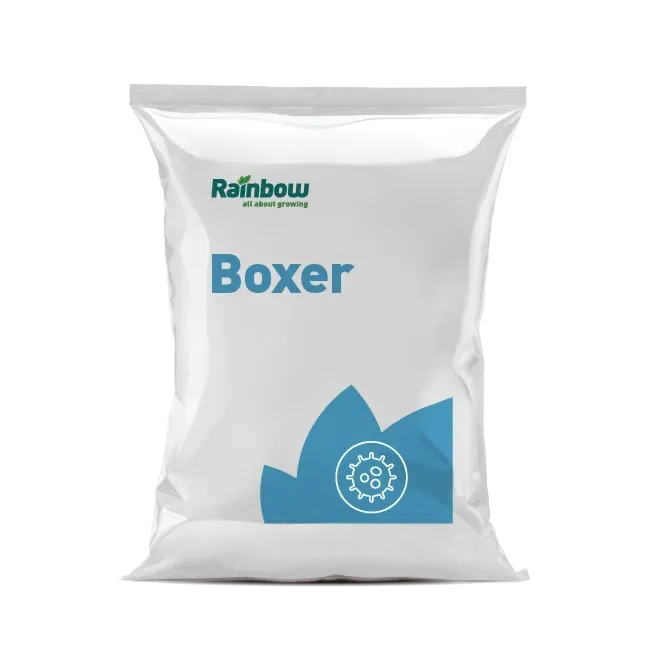 Imagen oficial de BOXER