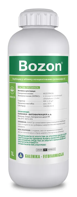 Imagen oficial de BOZON