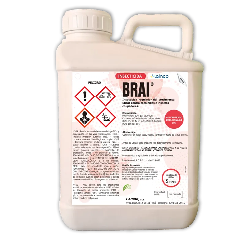 Imagen oficial de BRAI