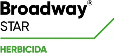 Imagen oficial de BROADWAY STAR