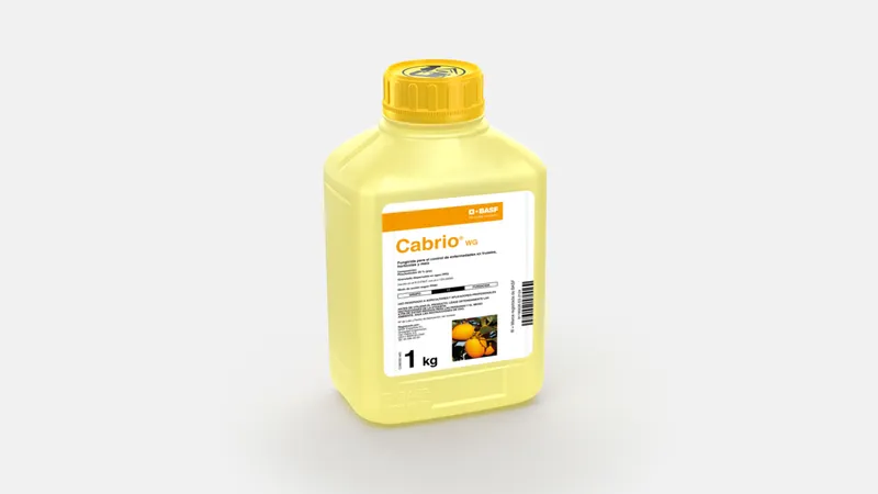Imagen oficial de CABRIO WG