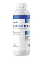 Imagen oficial de CENTINELA 10 EC