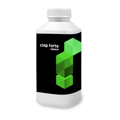 Imagen oficial de CLAP FORTE