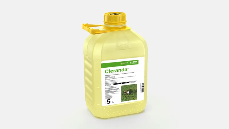 Imagen oficial de CLERANDA