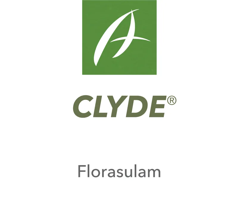 Imagen oficial de CLYDE