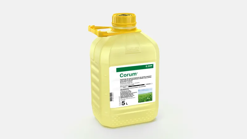 Imagen oficial de CORUM