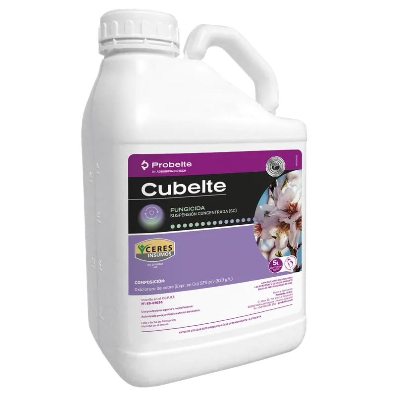 Imagen oficial de CUBELTE