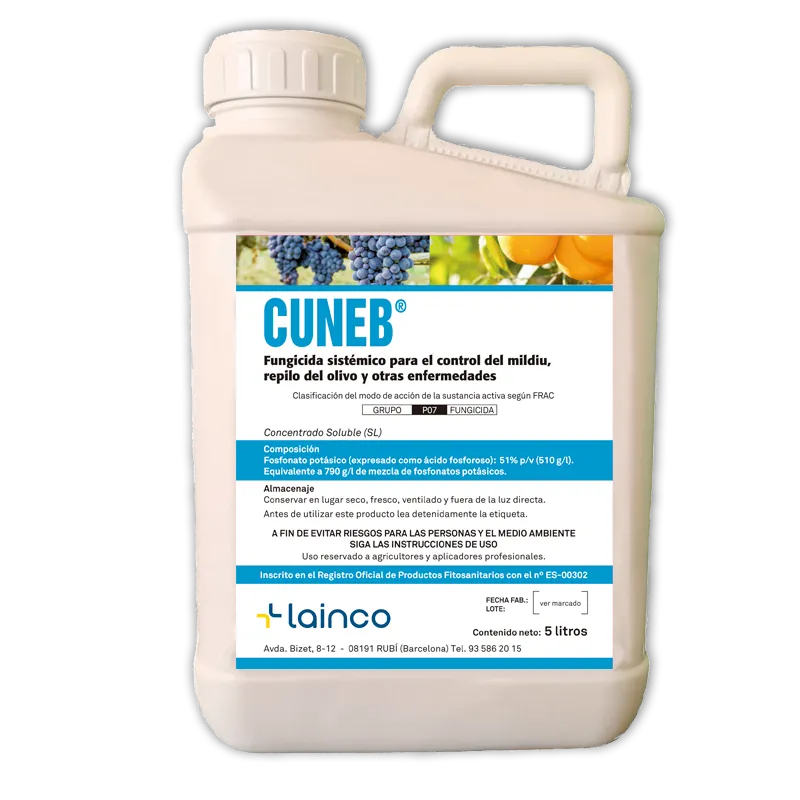 Imagen oficial de CUNEB