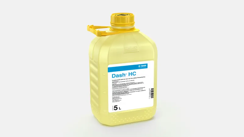 Imagen oficial de DASH HC