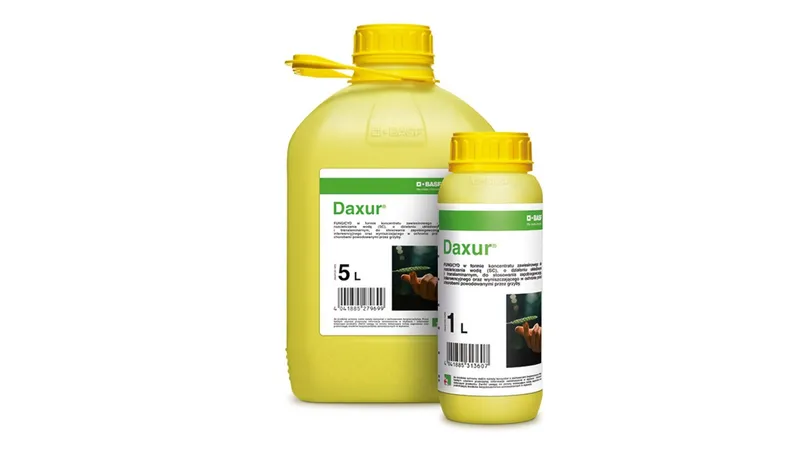 Imagen oficial de DAXUR