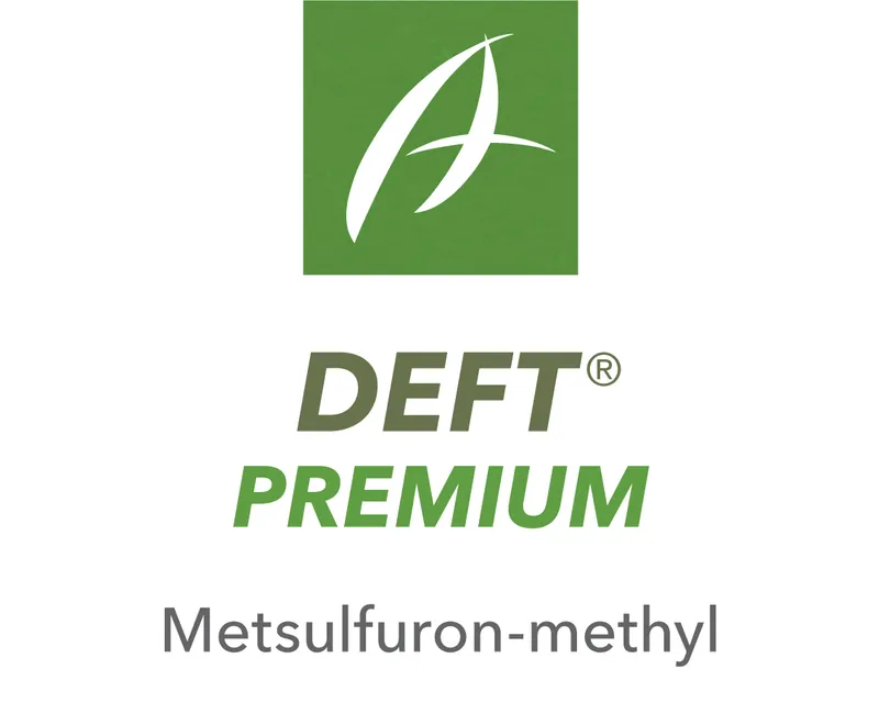 Imagen oficial de DEFT PREMIUM