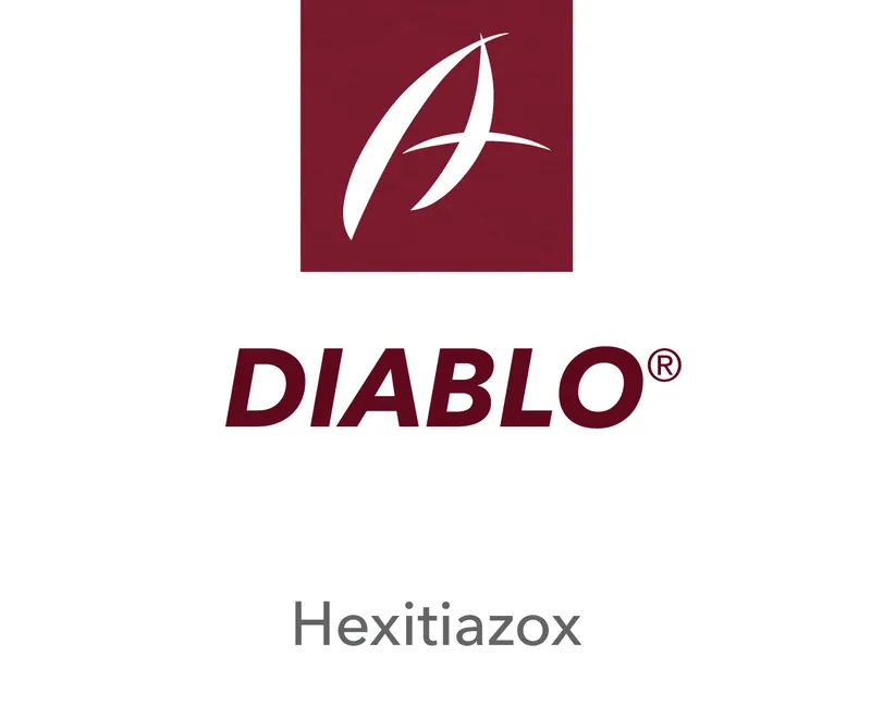 Imagen oficial de DIABLO
