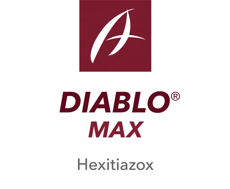 Imagen oficial de DIABLO MAX