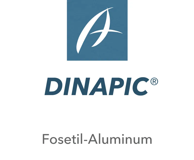 Imagen oficial de DINAPIC